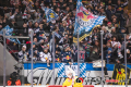 Münchner Fans in der Nordkurve feiern den Treffer zum 4:1 in der Hauptrundenbegegnung der Deutschen Eishockey Liga zwischen dem EHC Red Bull München und der Düsseldorfer EG am 03.02.2019.