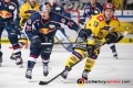 Maximilian Daubner (EHC Red Bull Muenchen) und Chad Costello (Krefeld Pinguine) in der Hauptrundenbegegnung der Deutschen Eishockey Liga zwischen dem EHC Red Bull München und den Krefeld Pinguinen am 28.11.2018.
