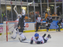 DEL - Straubing Tigers vs Adler Mannheim