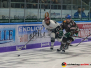 DEL Augsburger Panther vs. Koelner Haie 17.11.2017