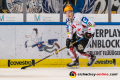 Patch Alber (Fischtown Pinguins Bremerhaven) in der Hauptrundenbegegnung der Deutschen Eishockey Liga zwischen dem EHC Red Bull München und den Fischtown Pinguins Bremerhaven am 16.02.2020.