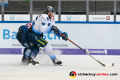 Yannic Seidenberg (EHC Red Bull Muenchen) und Mirko Hoefflin (ERC Ingolstadt Panther) in der Hauptrundenbegegnung der Deutschen Eishockey Liga zwischen dem EHC Red Bull München und den Ingolstadt Panthern am 21.02.2020.