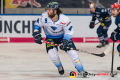 Jerry DAmigo (ERC Ingolstadt Panther) in der Hauptrundenbegegnung der Deutschen Eishockey Liga zwischen dem EHC Red Bull München und dem ERC Ingolstadt am 26.12.2019.