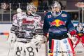 Die Backups beider Teams Hannibal Weitzmann (Torwart, Koelner Haie) und Kevin Reich (Torwart, EHC Red Bull Muenchen) beim Warmup vor der Hauptrundenbegegnung der Deutschen Eishockey Liga zwischen dem EHC Red Bull München und den Kölner Haien am 10.01.2020.
