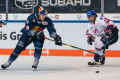 Jason Jaffray (EHC Red Bull Muenchen) und Markus Eisenschmid (Adler Mannheim) in der Hauptrundenbegegnung der Deutschen Eishockey Liga zwischen dem EHC Red Bull München und den Adler Mannheim am 08.12.2019.