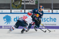 Kampf um den Puck zwischen Ben Smith (Adler Mannheim) und Jason Jaffray (EHC Red Bull Muenchen) in der Hauptrundenbegegnung der Deutschen Eishockey Liga zwischen dem EHC Red Bull München und den Adler Mannheim am 08.12.2019.