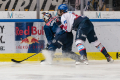 Kampf um den Puck zwischen Andrew Bodnarchuk (EHC Red Bull Muenchen) und Tim Stuetzle (Adler Mannheim) in der Hauptrundenbegegnung der Deutschen Eishockey Liga zwischen dem EHC Red Bull München und den Adler Mannheim am 08.12.2019.