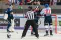 Chris Bourque (EHC Red Bull Muenchen) und Nicolas Kraemmer (Adler Mannheim) hatten sich einiges zu sagen in der Hauptrundenbegegnung der Deutschen Eishockey Liga zwischen dem EHC Red Bull München und den Adler Mannheim am 15.12.2019.