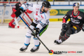 Felix Schuetz (Straubing Tigers) in der Hauptrundenbegegnung der Deutschen Eishockey Liga zwischen dem EHC Red Bull München und den Straubing Tigers am 06.03.2020.