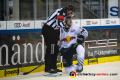 Hauptschiedsrichter Marc Iwert im Gespräch mit Bobby Sanguinetti (EHC Red Bull Muenchen) in der Hauptrundenbegegnung der Deutschen Eishockey Liga zwischen den ERC Ingolstadt Panthern und dem EHC Red Bull München am 24.11.2019.