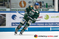 David Stieler (Augsburger Panther) in der 4. DEL-Halbfinalbegegnung der Augsburger Panther mit dem EHC Red Bull Muenchen.Foto: Heike Feiner/Eibner Pressefoto