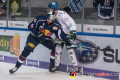 Keith Aulie (EHC Red Bull Muenchen) gegen Marco Sternheimer (Augsburger Panther) in der 5. Halbfinalbegegnung in den Playoffs der Deutschen Eishockey Liga zwischen dem EHC Red Bull München und den Augsburger Panthern am 12.04.2019.