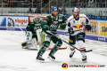 Patrick McNeill (Augsburger Panther) und Michael Wolf (EHC Red Bull Muenchen) vor dem Tor von Olivier Roy (Torwart, Augsburger Panther) in der 6. DEL-Halbfinalbegegnung der Augsburger Panther mit dem EHC Red Bull Muenchen.Foto: Heike Feiner/Eibner Pressefoto