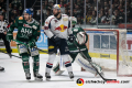 Jaroslav Hafenrichter (Augsburger Panther) und Andreas Eder (EHC Red Bull Muenchen) vor dem Tor von Olivier Roy (Torwart, Augsburger Panther) in der 6. DEL-Halbfinalbegegnung der Augsburger Panther mit dem EHC Red Bull Muenchen.Foto: Heike Feiner/Eibner Pressefoto