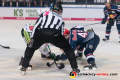 Linesman Andreas Hofer führt ein Bully aus zwischen Adam Payerl (Augsburger Panther) und Mark Voakes (EHC Red Bull Muenchen) in der 7. Halbfinalbegegnung in den Playoffs der Deutschen Eishockey Liga zwischen dem EHC Red Bull München und den Augsburger Panthern am 16.04.2019.