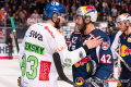 Shakehands zwischen Simon Sezemsky (Augsburger Panther) und Yasin Ehliz (EHC Red Bull Muenchen) in der 7. Halbfinalbegegnung in den Playoffs der Deutschen Eishockey Liga zwischen dem EHC Red Bull München und den Augsburger Panthern am 16.04.2019.