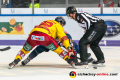 Linesman Marius Woelzmueller fuehrt ein Bully aus zwischen Mark Voakes (EHC Red Bull Muenchen) und Chad Nehring (Duesseldorfer EG) in der Hauptrundenbegegnung der Deutschen Eishockey Liga zwischen dem EHC Red Bull München und der Duesseldorfer EG am 15.09.2019.