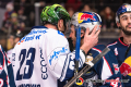 Sasa Martinovic (Iserlohn Roosters) und Yasin Ehliz (EHC Red Bull Muenchen) beim Shakehands in der Hauptrundenbegegnung der Deutschen Eishockey Liga zwischen dem EHC Red Bull München und den Iserlohn Roosters am 25.01.2019.