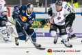 Zweikampf zwischen Maximilian Daubner (EHC Red Bull Muenchen) und Jon Matsumoto (Koelner Haie) in der Hauptrundenbegegnung der Deutschen Eishockey Liga zwischen dem EHC Red Bull München und den Kölner Haien am 25.10.2019.