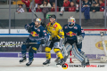 Daryl Boyle (EHC Red Bull Muenchen) und Mark Cundari (Krefeld Pinguine) vor Danny aus den Birken (Torwart, EHC Red Bull Muenchen) im Spiel Red Bull Muenchen gegen die Krefeld Pinguine am 20.10.2019.Foto: Heike Feiner/Eibner Pressefoto