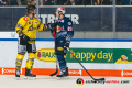 Torsten Ankert (Krefeld Pinguine) hat was auszudiskutieren mit Frank Mauer (EHC Red Bull Muenchen) im Spiel Red Bull Muenchen gegen die Krefeld Pinguine am 20.10.2019.Foto: Heike Feiner/Eibner Pressefoto