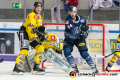 Torsten Ankert (Krefeld Pinguine) und Trevor Parkes (EHC Red Bull Muenchen) vor dem Tor von Dimitri Paetzold (Torwart, Krefeld Pinguine) im Spiel Red Bull Muenchen gegen die Krefeld Pinguine am 20.10.2019.Foto: Heike Feiner/Eibner Pressefoto