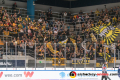 Krefelder Fans im Spiel Red Bull Muenchen gegen die Krefeld Pinguine am 20.10.2019.Foto: Heike Feiner/Eibner Pressefoto