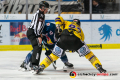 Linesman Robert Schelewski führt ein Bully aus zwischen Patrick Hager (EHC Red Bull Muenchen) und Justin Hodgman (Krefeld Pinguine) in der Hauptrundenbegegnung der Deutschen Eishockey Liga zwischen dem EHC Red Bull München und den Krefeld Pinguinen am 30.12.2019.