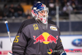 Kevin Reich (Torwart, EHC Red Bull Muenchen)  beim Warmup mit den Aufwaermtrikots "IT'S ON" in der Hauptrundenbegegnung der Deutschen Eishockey Liga zwischen dem EHC Red Bull München und den Thomas Sabo Ice Tigers am 15.02.2019.