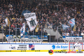 Die Münchner Nordkurve bejubelt den Treffer zum 1:0 in der Hauptrundenbegegnung der Deutschen Eishockey Liga zwischen dem EHC Red Bull München und den Thomas Sabo Ice Tigers am 15.02.2019.
