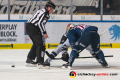 Linesman Christoffer Hurtik führt ein Bully aus zwischen Andreas Eder (Thomas Sabo Ice Tigers) und Mads Christensen (EHC Red Bull Muenchen) in der Hauptrundenbegegnung der Deutschen Eishockey Liga zwischen dem EHC Red Bull München und den Thomas Sabo Ice Tigers am 15.11.2019.