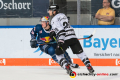 Justin Schuetz (EHC Red Bull Muenchen) und Kevin Schulze (Thomas Sabo Ice Tigers) in der Hauptrundenbegegnung der Deutschen Eishockey Liga zwischen dem EHC Red Bull München und den Thomas Sabo Ice tigers am 29.09.2019.