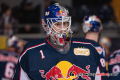 Daniel Allavena (Torwart, EHC Red Bull Muenchen) fungierte als Backup in der Hauptrundenbegegnung der Deutschen Eishockey Liga zwischen dem EHC Red Bull München und den Schwenninger Wild Wings am 04.01.2019.