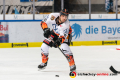 Armin Wurm (Grizzlys Wolfsburg) in der Hauptrundenbegegnung der Deutschen Eishockey Liga zwischen dem EHC Red Bull München und den Grizzlys Wolfsburg am 11.10.2019.