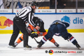 Linesman Maksim Cepik führt ein Bully aus zwischen Jeremy Welsh (Grizzlys Wolfsburg) und Patrick Hager (EHC Red Bull Muenchen) in der Hauptrundenbegegnung der Deutschen Eishockey Liga zwischen dem EHC Red Bull München und den Grizzlys Wolfsburg am 27.01.2019.