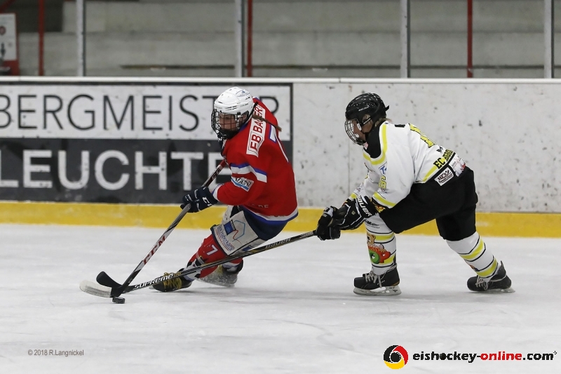 DFEL_ESCP-ECB_117