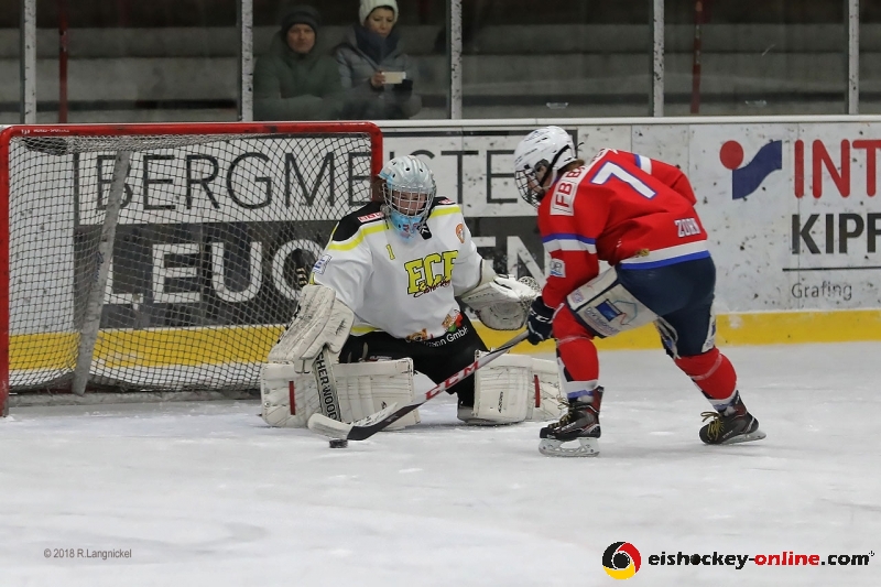 DFEL_ESCP-ECB_139