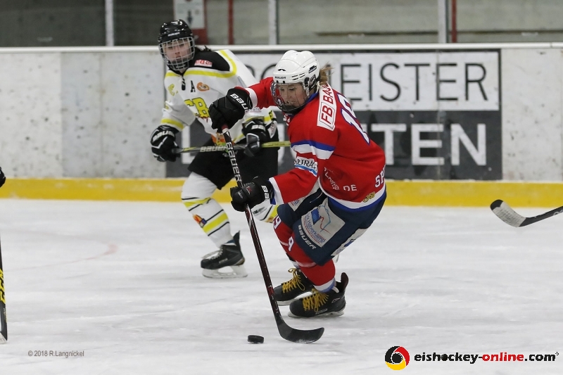 DFEL_ESCP-ECB_II_026