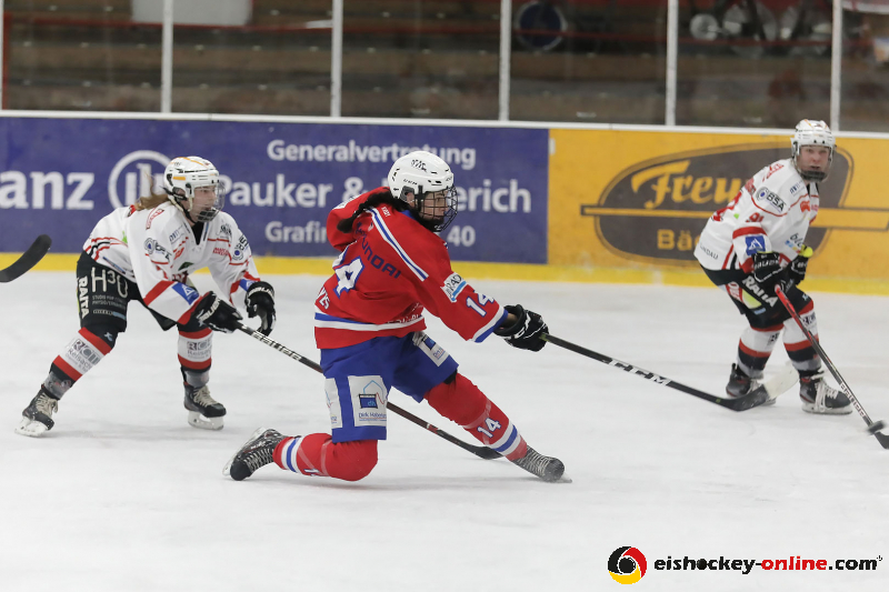 DFEL_ESC-ECDC_25