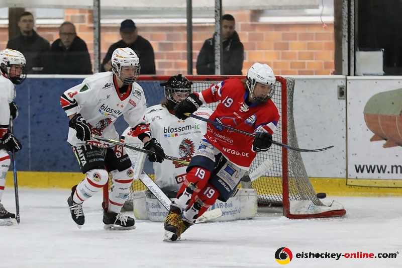 DFEL_ESCP-ECDCMM_004