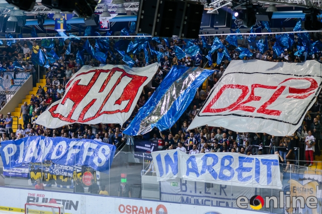 150913_Mannheim_HEI0844-E-Online