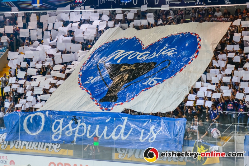 160925_Augsburg_HEI7265-E-Online