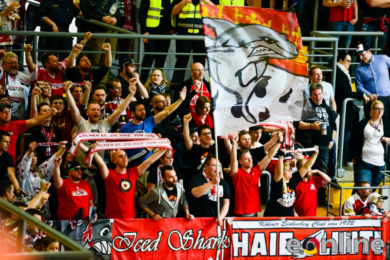 160403_Köln_HEI3381-E-Online