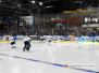 EV Landshut vs. Kassel Huskies 26-01-2020