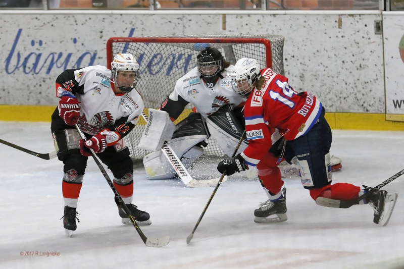 EWHL_SC-ECDC_038