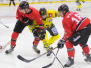 Füchse vs. Krefeld Pinguine 24.08.2015