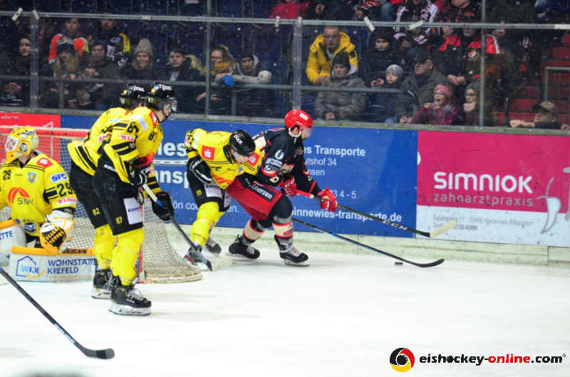 D70_3725 (2) (Mittel) - Kopie - Kopie