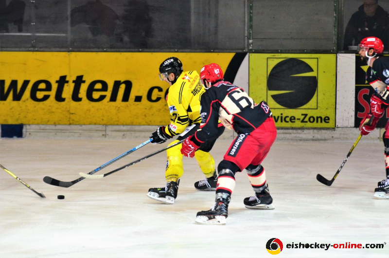 D70_3730 (2) (Mittel) - Kopie - Kopie
