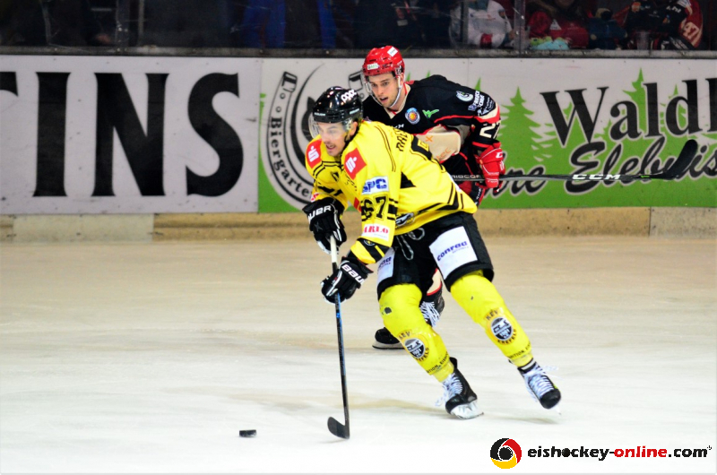 D70_3781 (2) (Mittel) - Kopie - Kopie