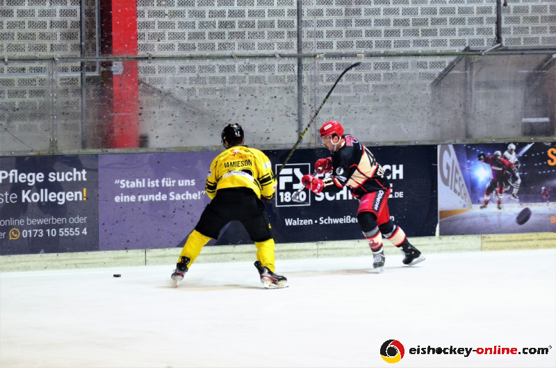 D70_3797 (2) (Mittel) - Kopie - Kopie